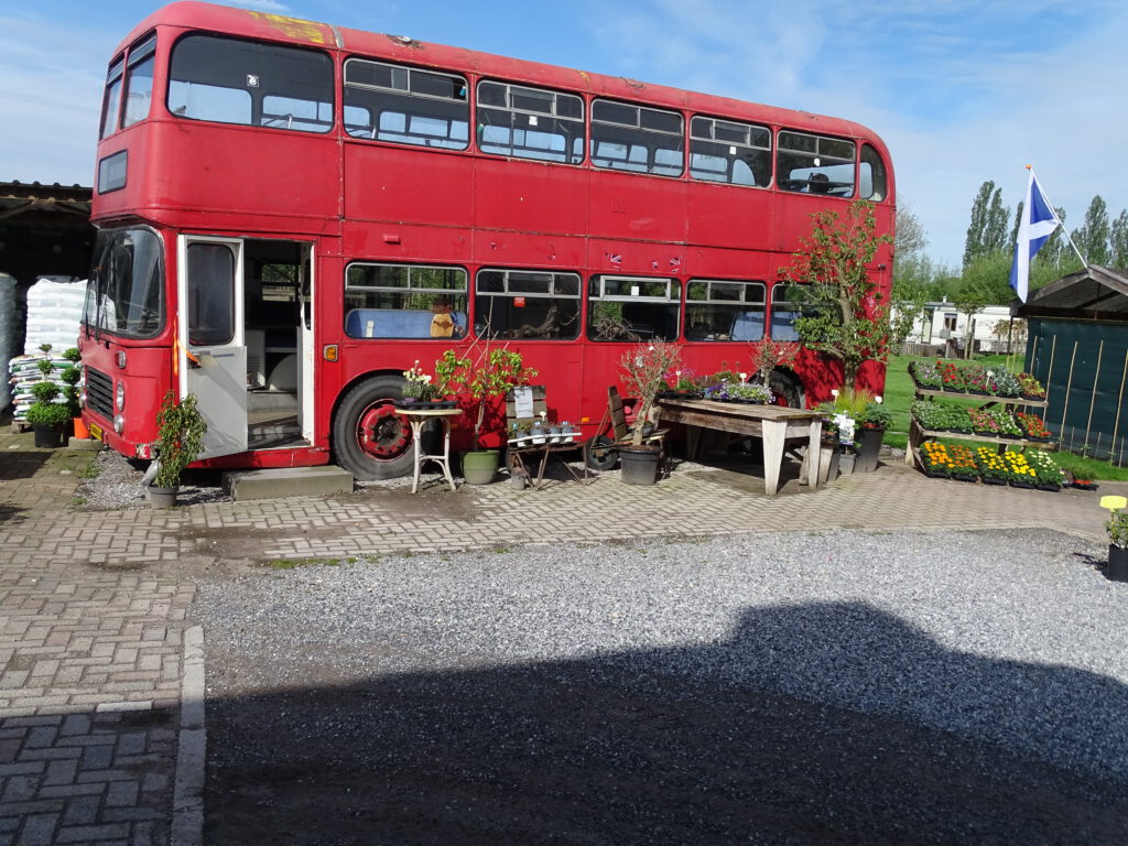 Iconic red London bus outside Krans Expat Shop in Sint-Oedenrode